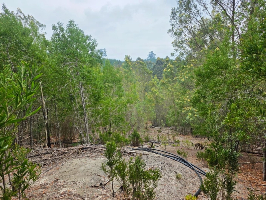 Commercial Property for Sale in Sedgefield Rural Western Cape